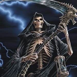 Meet your Posher, Fred